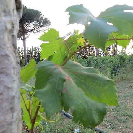 Agriturismo Occhineri Porto Cesareo Εξωτερικό φωτογραφία