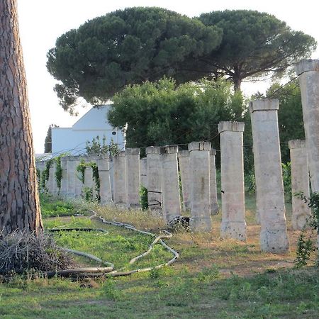 Agriturismo Occhineri Porto Cesareo Εξωτερικό φωτογραφία
