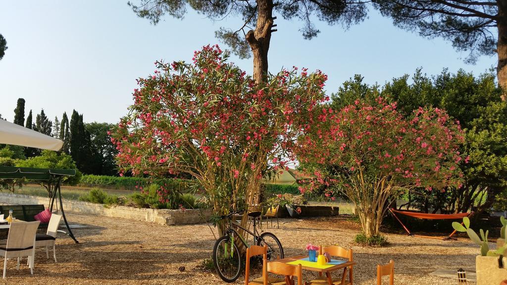 Agriturismo Occhineri Porto Cesareo Εξωτερικό φωτογραφία