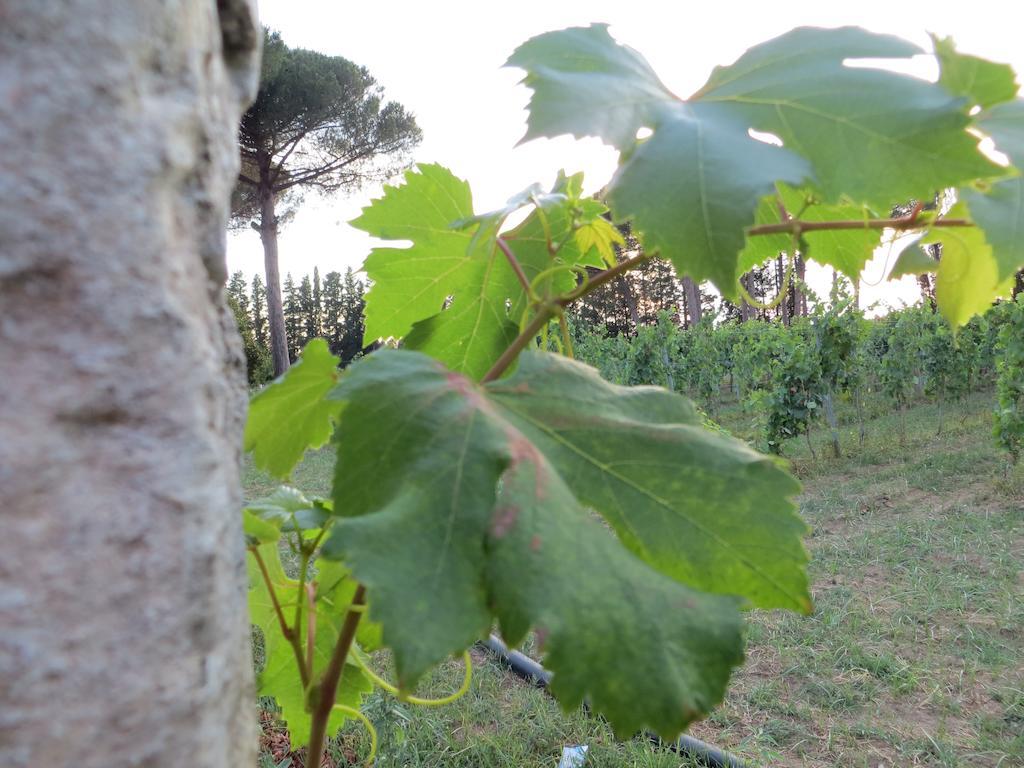 Agriturismo Occhineri Porto Cesareo Εξωτερικό φωτογραφία