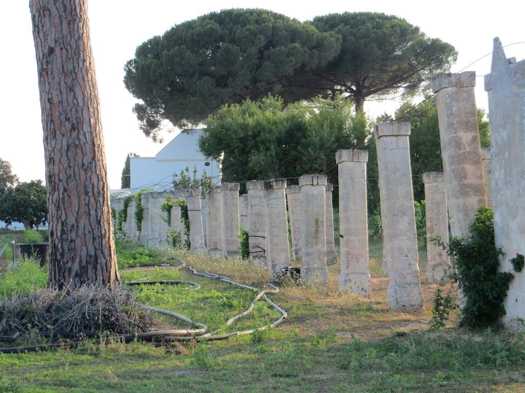 Agriturismo Occhineri Porto Cesareo Εξωτερικό φωτογραφία