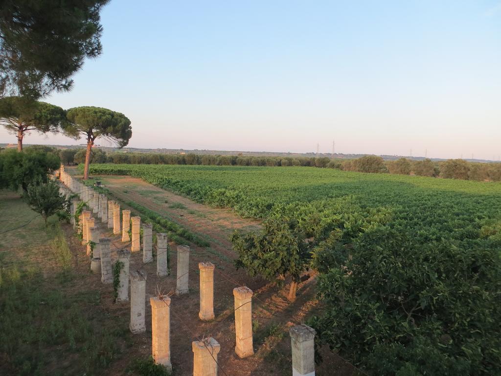 Agriturismo Occhineri Porto Cesareo Εξωτερικό φωτογραφία